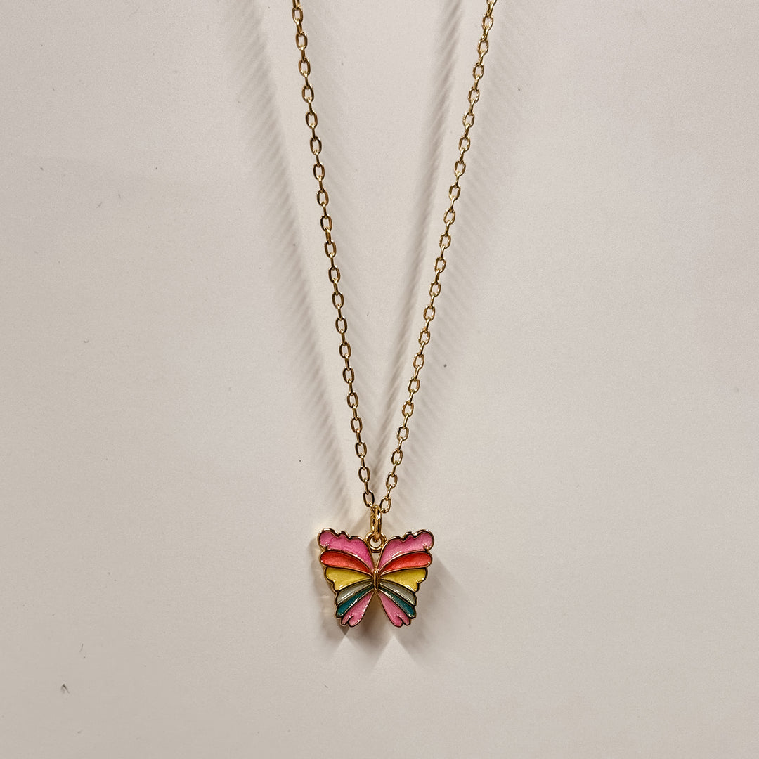 Colorful Butterfly