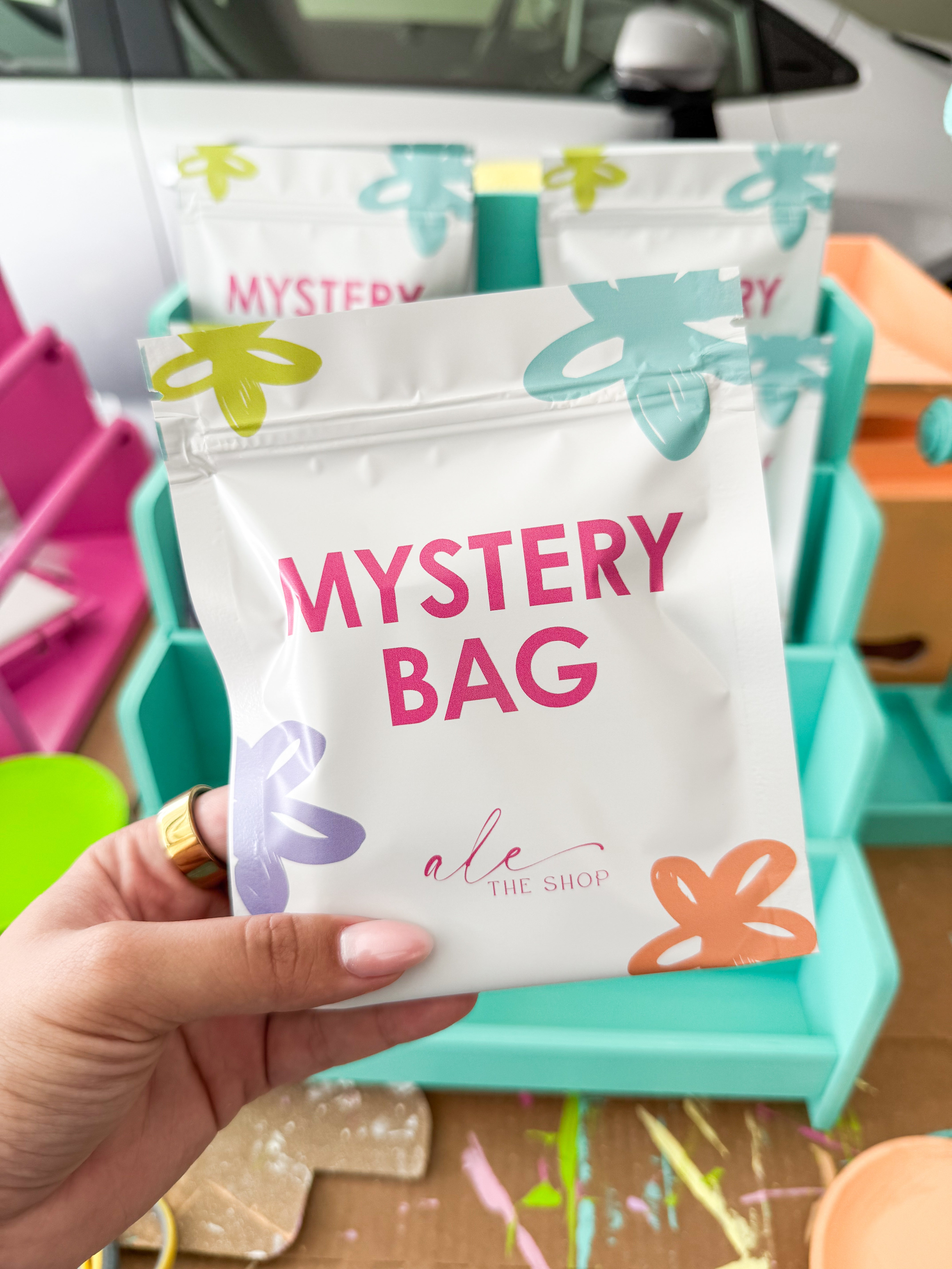 Mystery Bag 4
