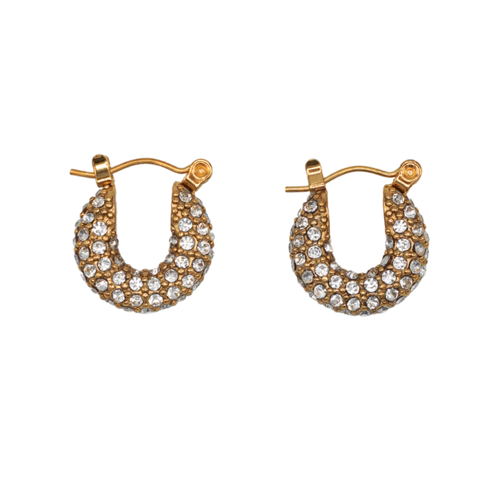 Paris Small Earrings